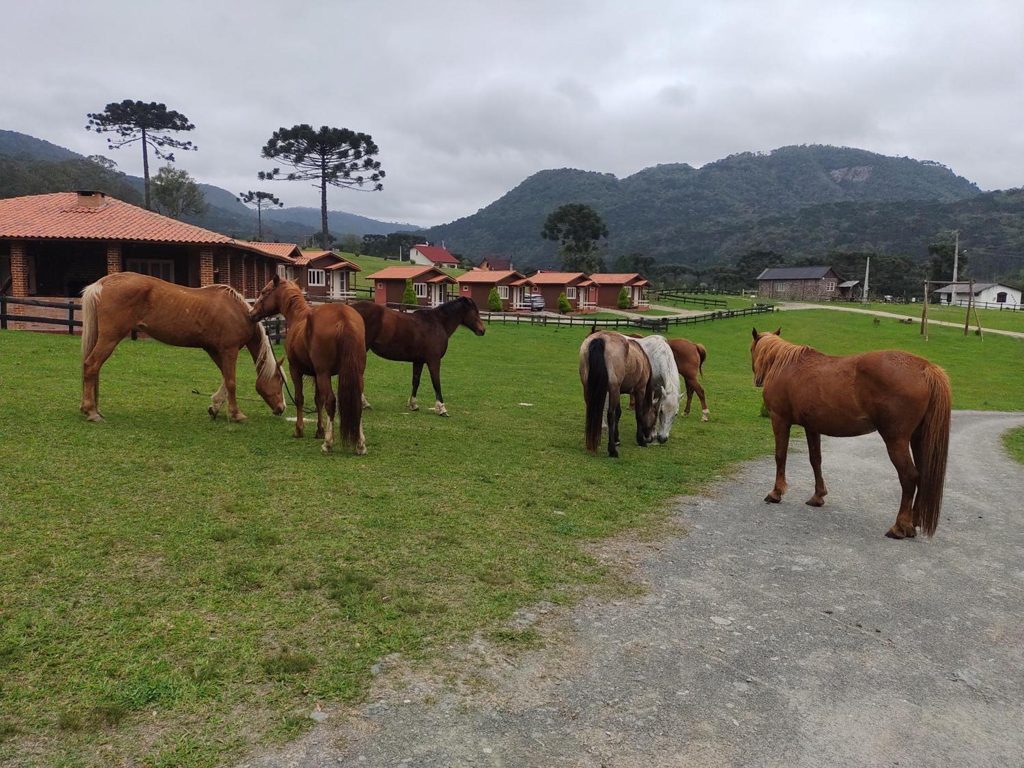 Sitio Rancho Crioulo Hotel Urubici Kültér fotó