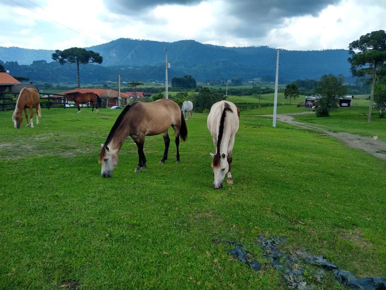 Sitio Rancho Crioulo Hotel Urubici Kültér fotó