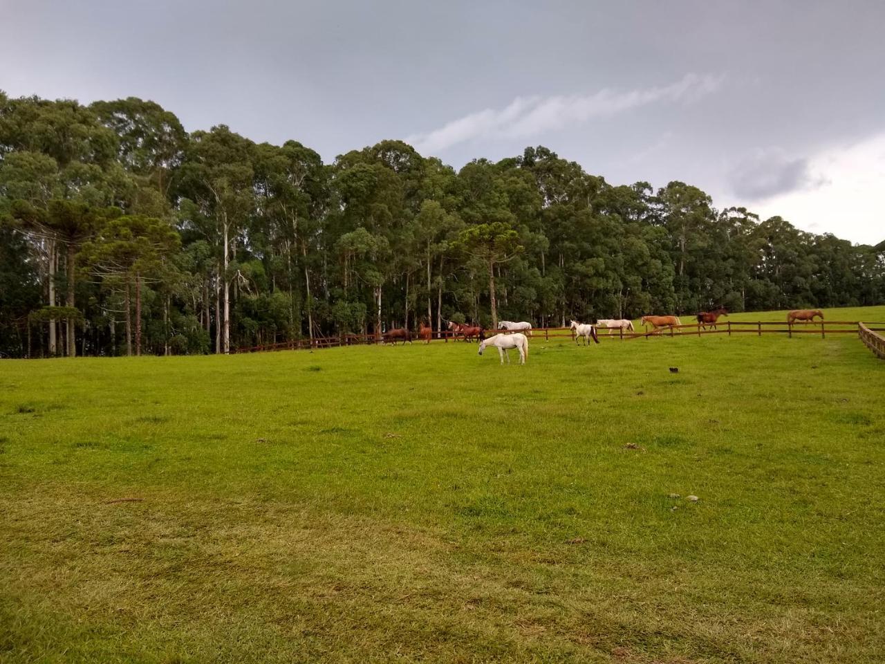 Sitio Rancho Crioulo Hotel Urubici Kültér fotó